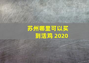 苏州哪里可以买到活鸡 2020